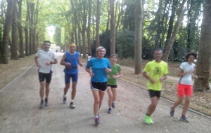 Entrainement en août, ça continue ...